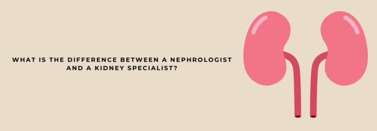 What is the difference between a nephrologist and a kidney specialist?