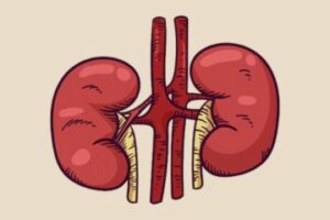 Nephrology in Australia