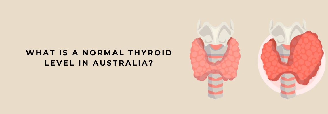 thyroid level