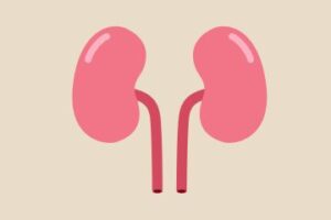 Kidney Disease in Australia
