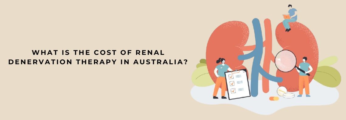renal denervation therapy